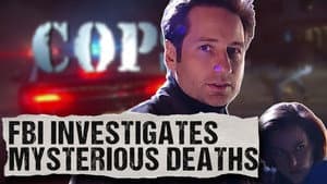 The Willow Park Murders