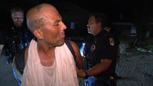 Tased and Confused: Shocking Behavior
