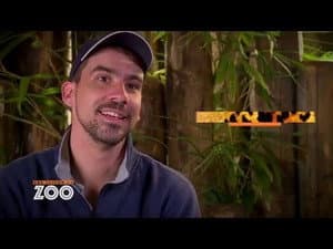 Episode 33