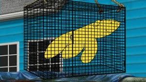 Handbanana