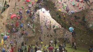 Climbing the Walls of Life