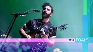 Foals