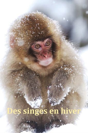 Japans Schneeaffen Hautnah (2025) poster