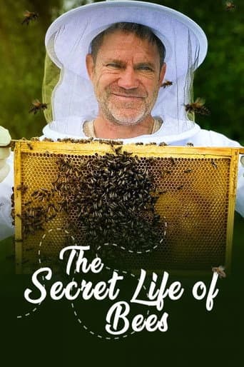 The Secret Life of Bees (2025) poster
