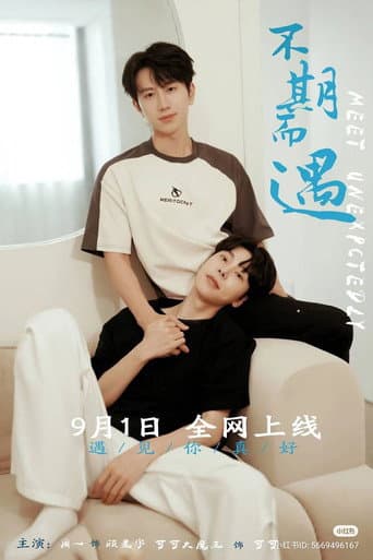 Meet Unexpectedly (2024) poster