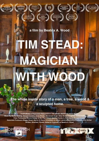 Tim Stead: Magician With Wood (2024) poster