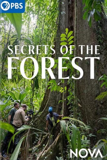 Secrets of the Forest poster