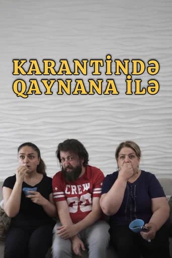 In Quarantine with Mother-in-law (2020) poster