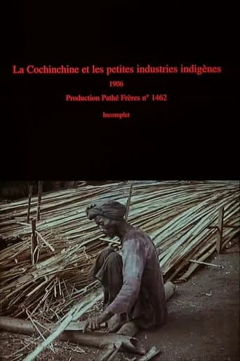 La Cochinchine et les petites industries indigènes (1906) poster