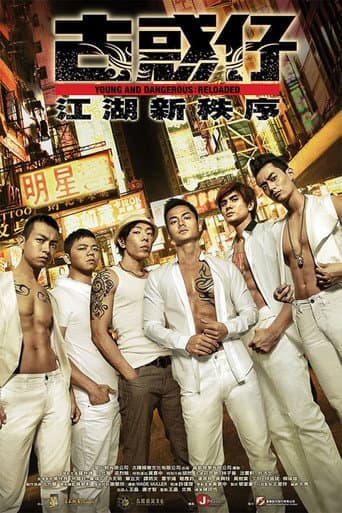 Young and Dangerous: Reloaded (2013) poster