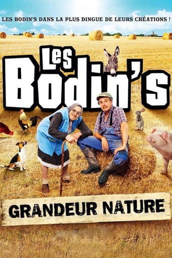 Les Bodin's : Grandeur Nature (@Zenith de Limoges) (2016) poster