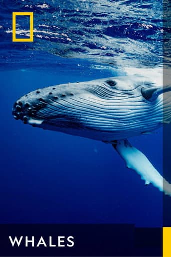 Whales (2024) poster