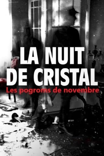 La Nuit de cristal : Les pogroms de novembre (2025) poster