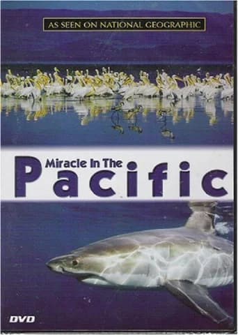 Miracle in the Pacific poster