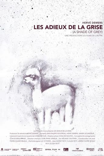 A Shade of Grey (2013) poster