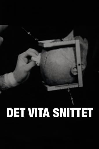Det vita snittet (2010) poster
