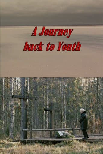 A Journey Back to Youth (2001) poster