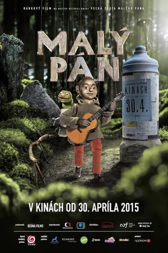 The Little Man (2015) poster