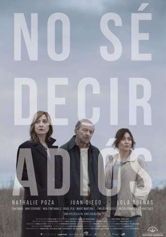 Can't Say Goodbye (2017) poster