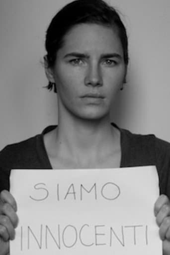 The Amanda Knox Saga (2014) poster