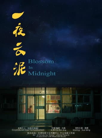 Blossom in Midnight (2015) poster