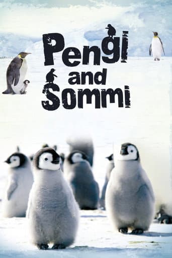 Pengi and Sommi (2012) poster