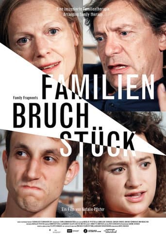 Family Fragments (2015) poster