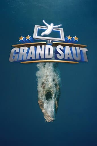 Le grand saut (2013) poster