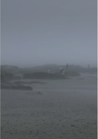 The Fog Has Covered The Moment Again (2021) poster