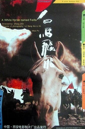 Feifei (1996) poster