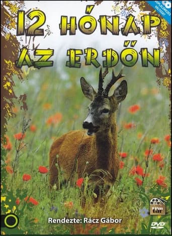 12 hónap az erdőn (1988) poster