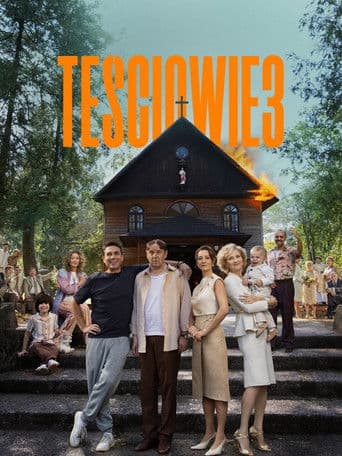 The In-Laws 3 (2025) poster
