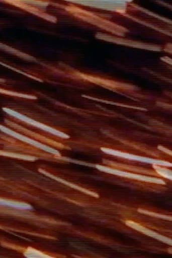 Ritual by Rote (2001) poster