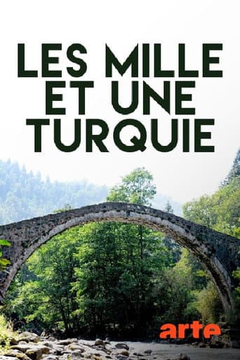 Abenteuer Türkei (2015) poster