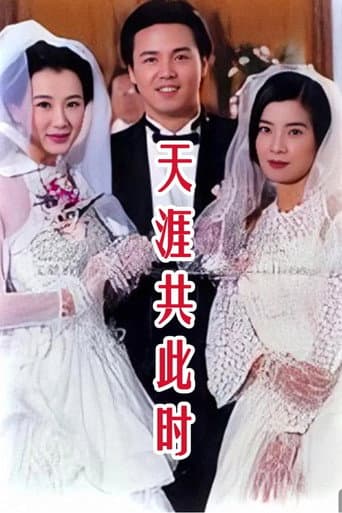 天涯共此时 (1996) poster