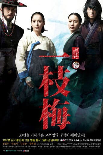 The Return of Iljimae (2009) poster