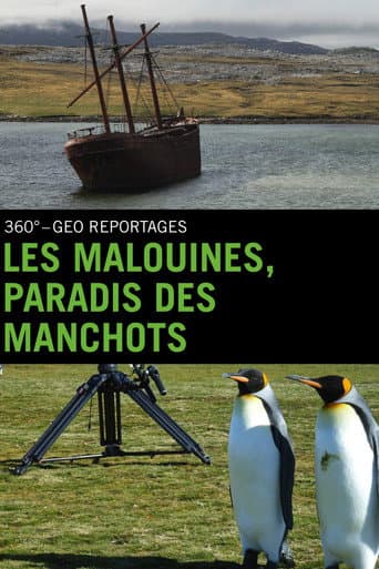Falklandinseln : Pinguine auf dem Vormarsch (2010) poster
