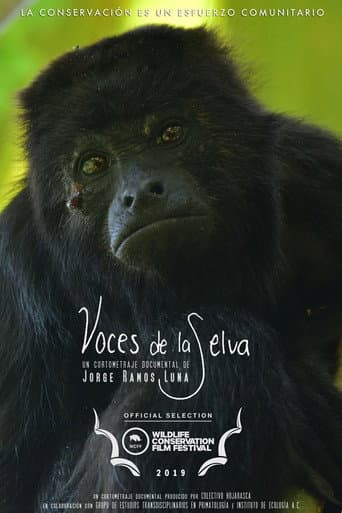 Rainforest Voices (2019) poster