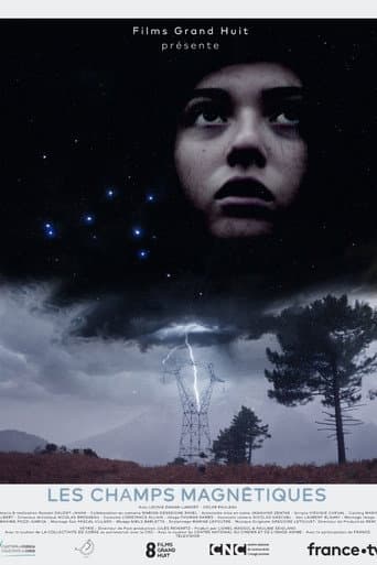 Magnetic Fields (2021) poster