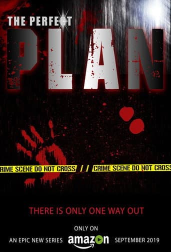 The Perfect Plan (2019) poster