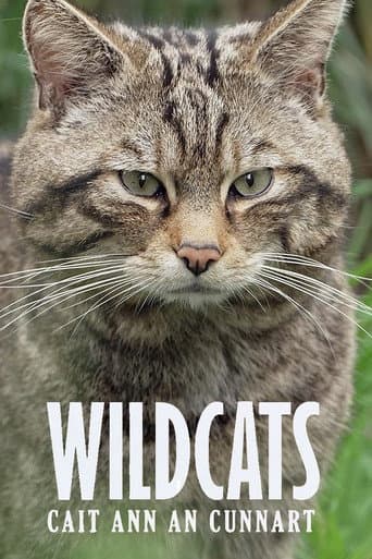 Wildcats: Cait ann an Cunnart (2025) poster