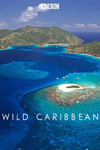 Wild Caribbean (2007) poster