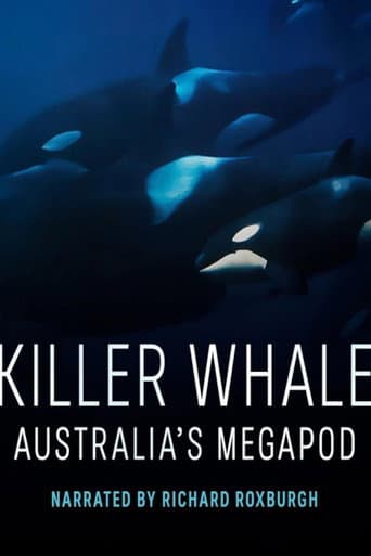 Killer Whale: Australia's Megapod (2025) poster