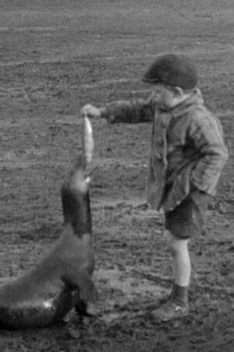 The Village Pet (1931) poster