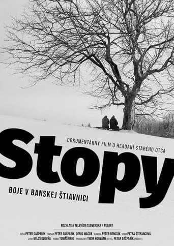 Footprints: Fighting in Banská Štiavnica (2023) poster