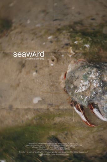 seaward (2025) poster