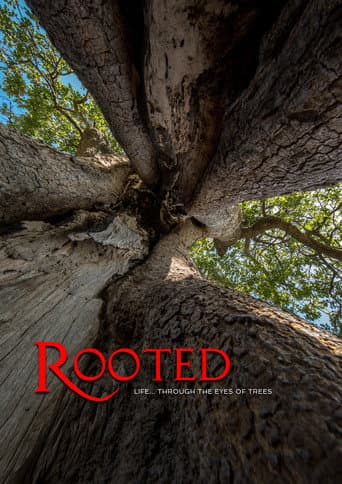 Rooted (2018) poster