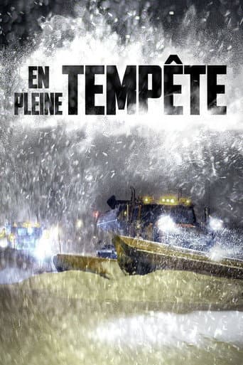 En pleine tempête (2016) poster