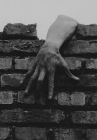 The Hole (1973) poster