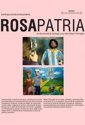 Pink Motherland (2009) poster